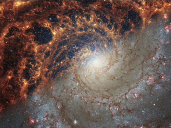 NGC628
