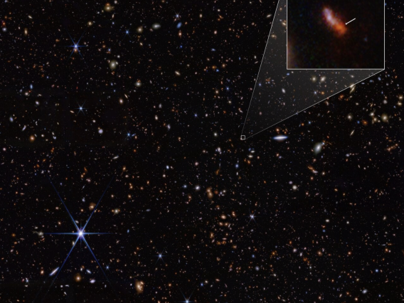 JWST's infrared image from its NIRCam captured JADES-GS-z14-0, the most distant known galaxy. Credit: NASA