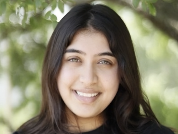 Lipika Chatur