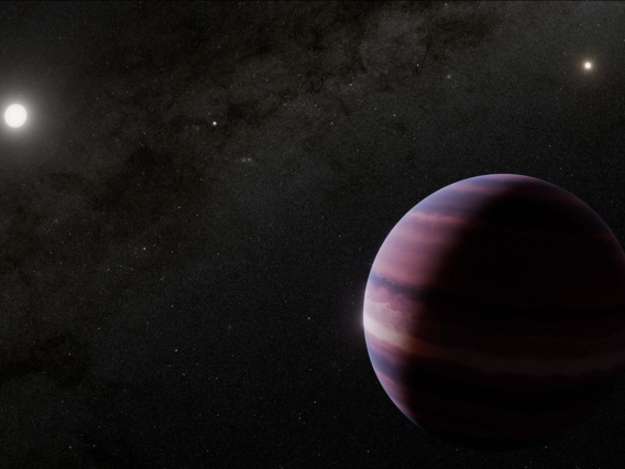 This artist’s concept shows what a gas giant orbiting Alpha Centauri A could look like. Observations of the triple star system Alpha Centauri using NASA’s James Webb Space Telescope indicate the potential gas giant, about the mass of Saturn, orbiting the star by about two times the distance between the Sun and Earth.