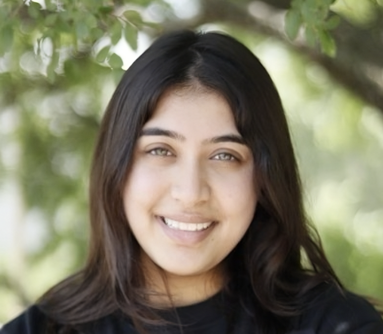 Lipika Chatur