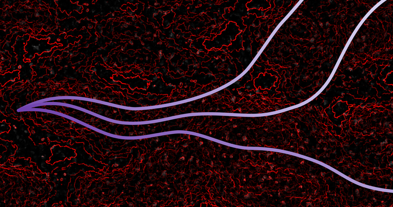 Light rays are propagating smoothly through a noisy, high-dimensional space in this artist’s impression. The new ray tracing algorithm improves on previous methods by better averaging information over trajectories, making it many orders of magnitude faster for quantifying uncertainties in large neural networks.