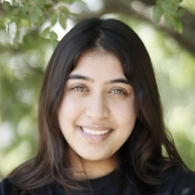 Lipika Chatur