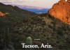 36 hours in Tucson with the NYT